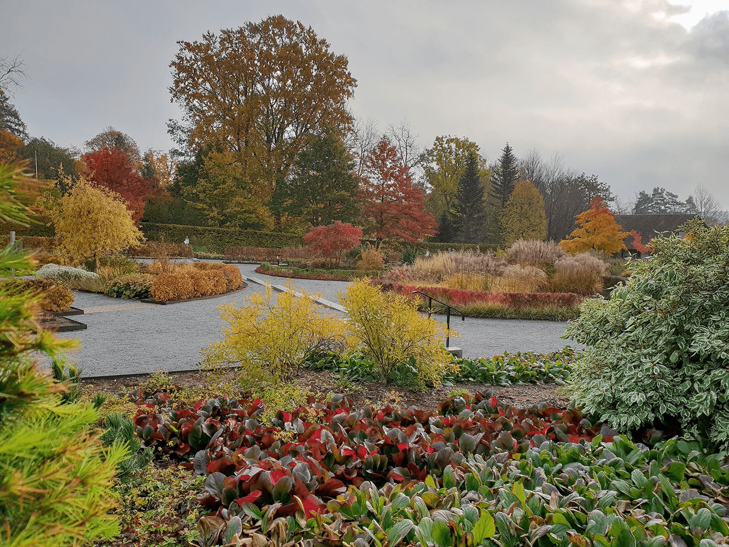 [Image: Garden view]