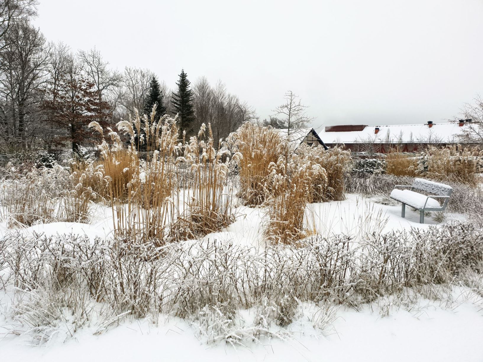 [Image: Garden view]