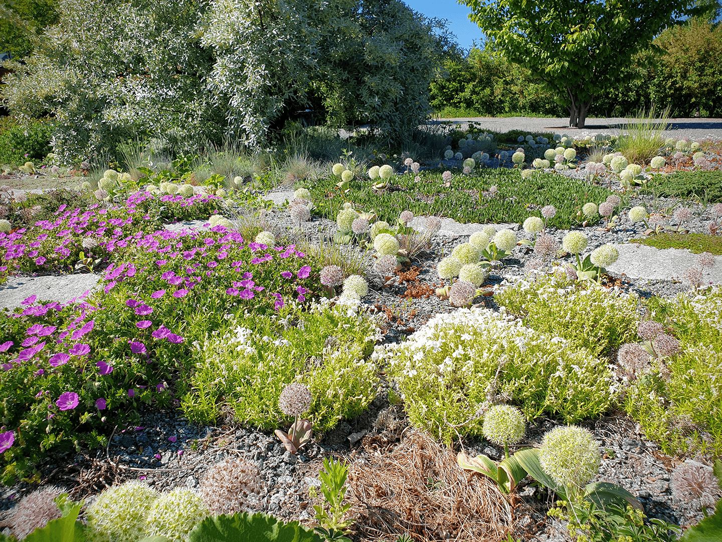 [Image: Garden view]