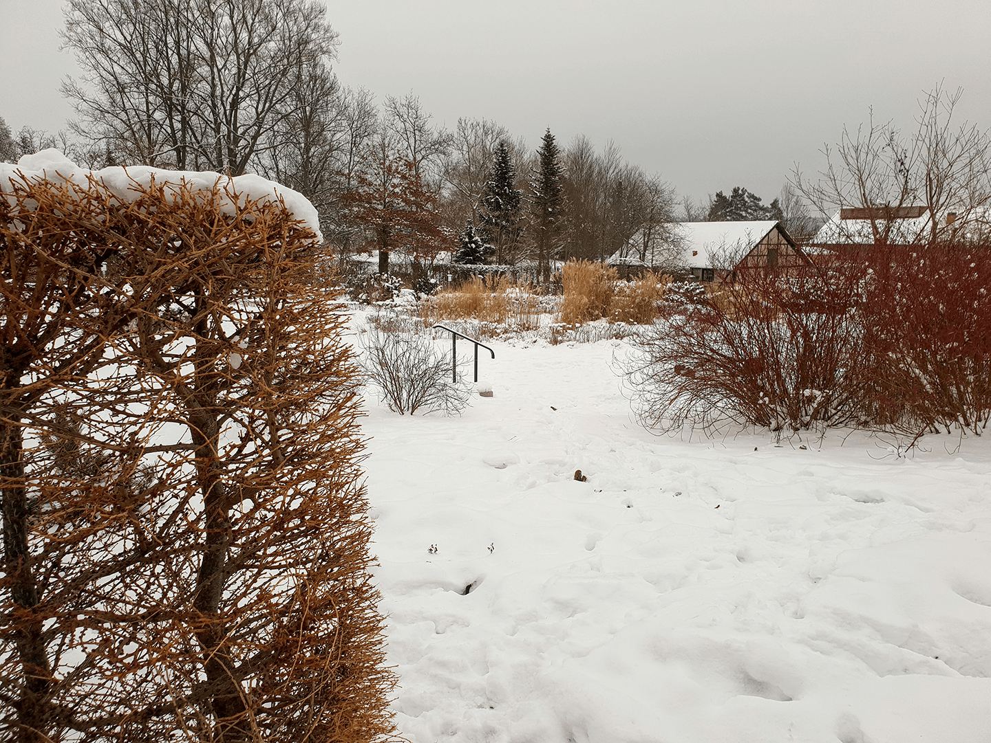 [Image: Garden view]