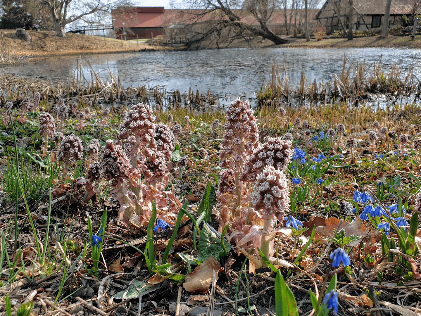 [Image: Garden view]