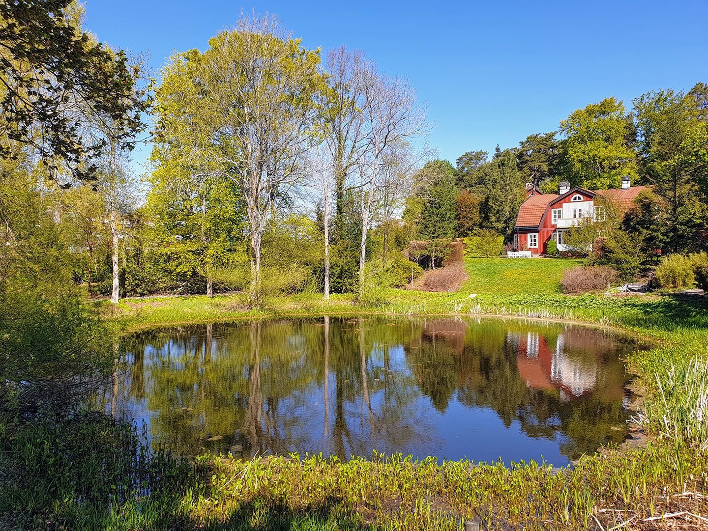 [Image: Garden view]