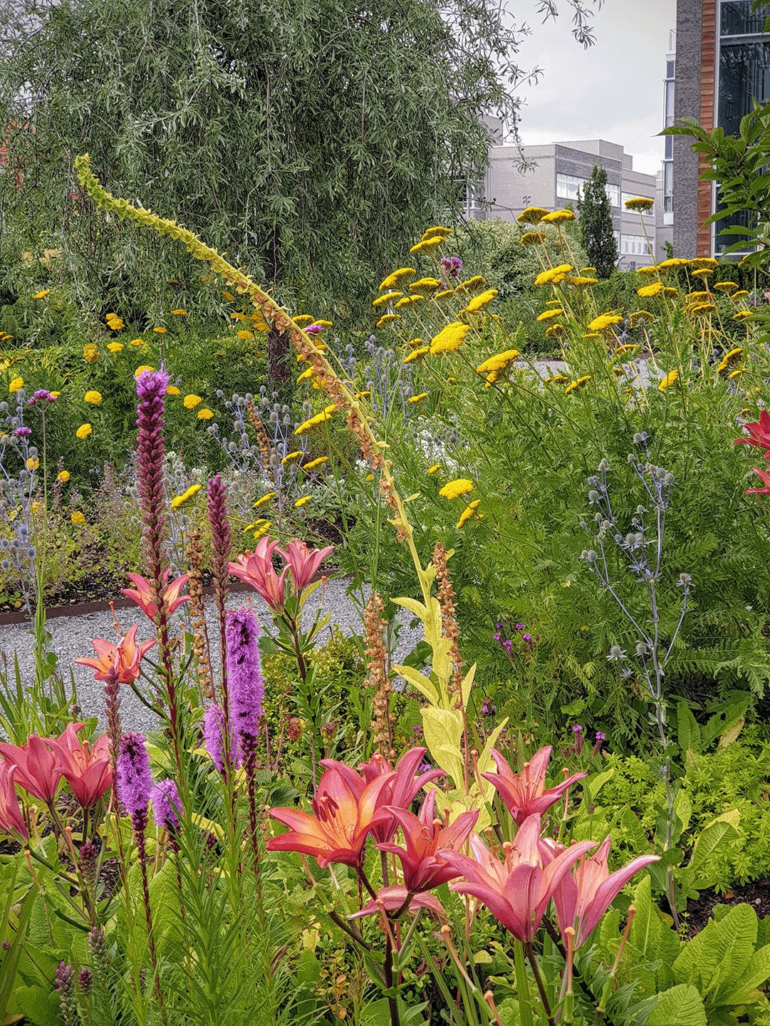 [Image: Garden view]